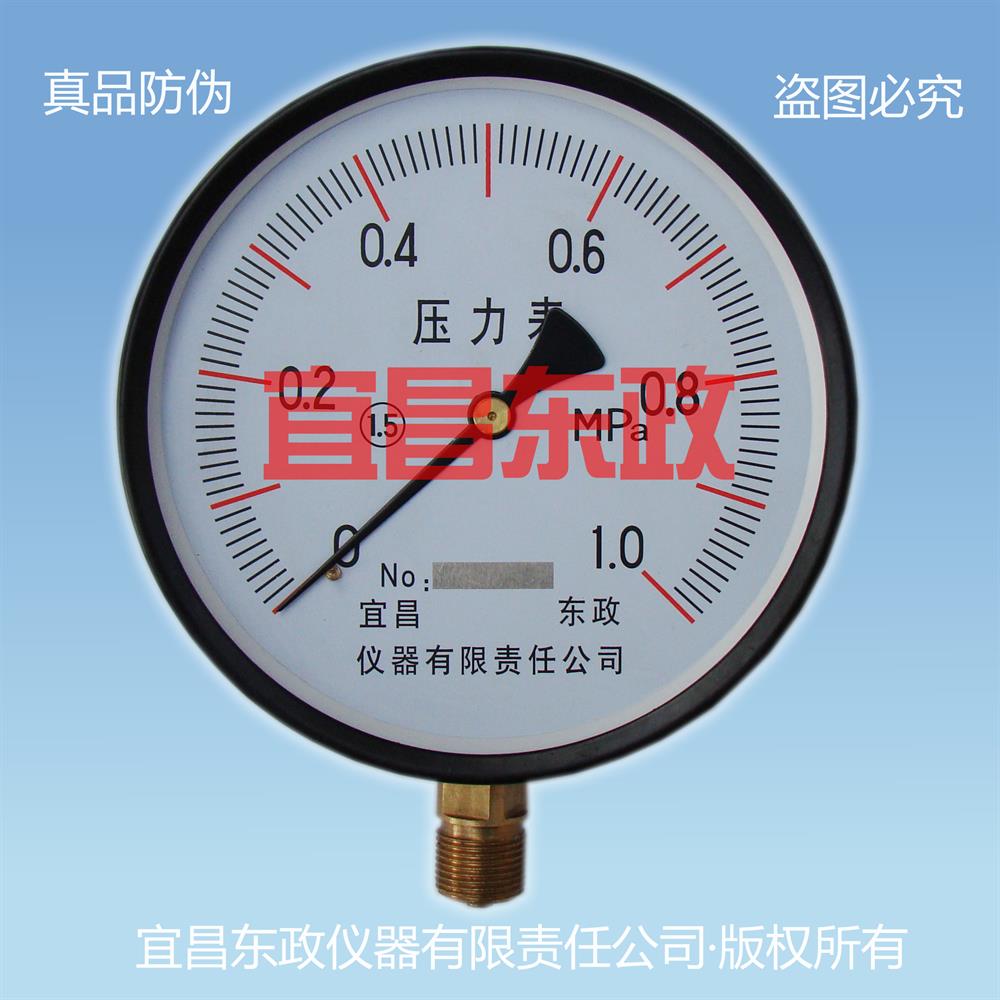 不锈钢膜盒压力表