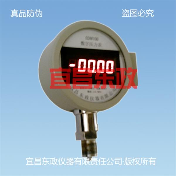 EDM系列数字压力表