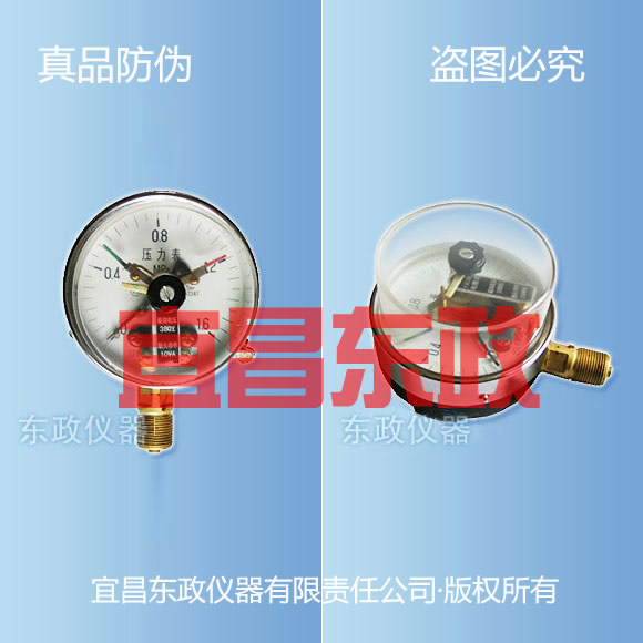 YXEA系列普通电接点