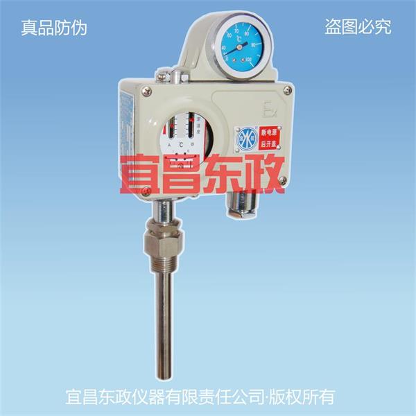 AE2T系列双开关型温