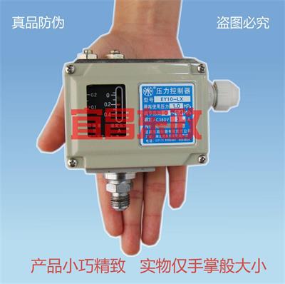EEY系列小巧型压力