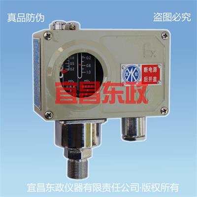 EY系列常规型压力